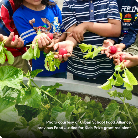 Photo courtesy of Urban School Food Alliance, previous Food Justice for Kids Prize grant recipient