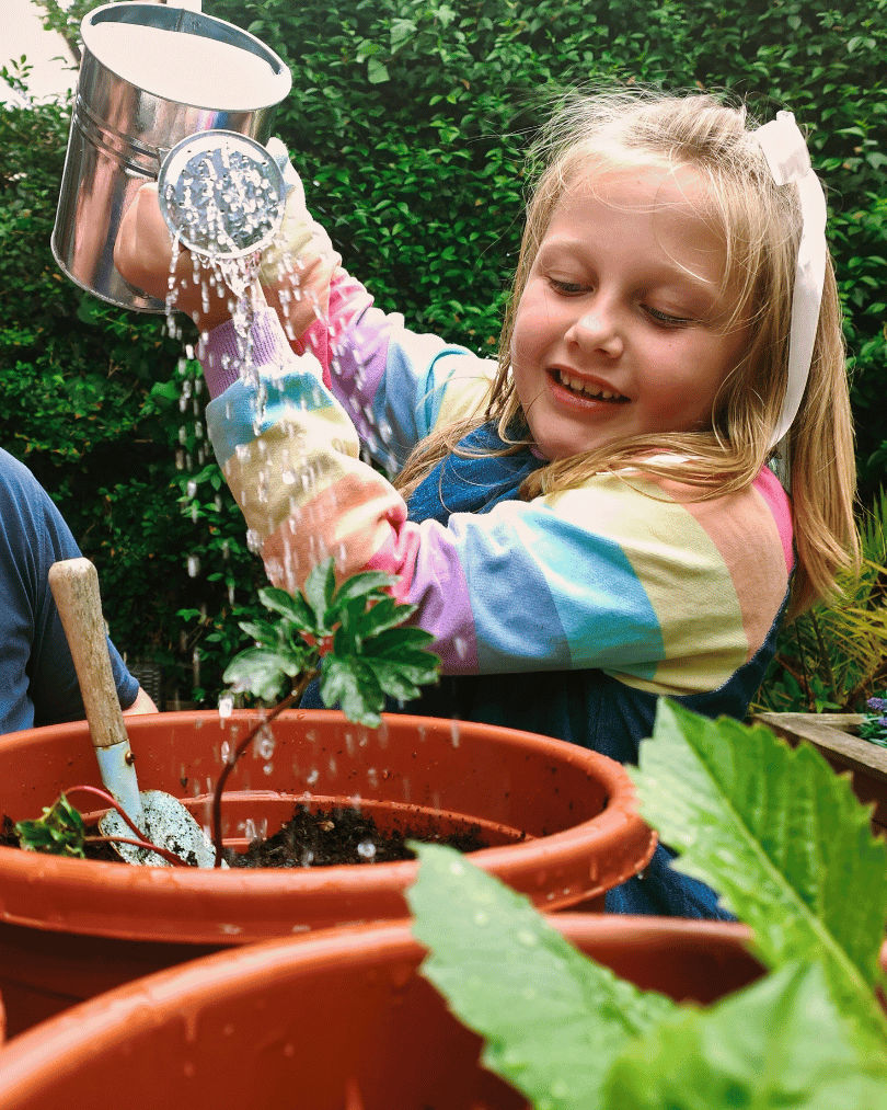 A young girl watering a plant in a pot
