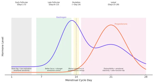 ADHD and Hormones: How Your Menstrual Cycle Affects ADHD Symptoms