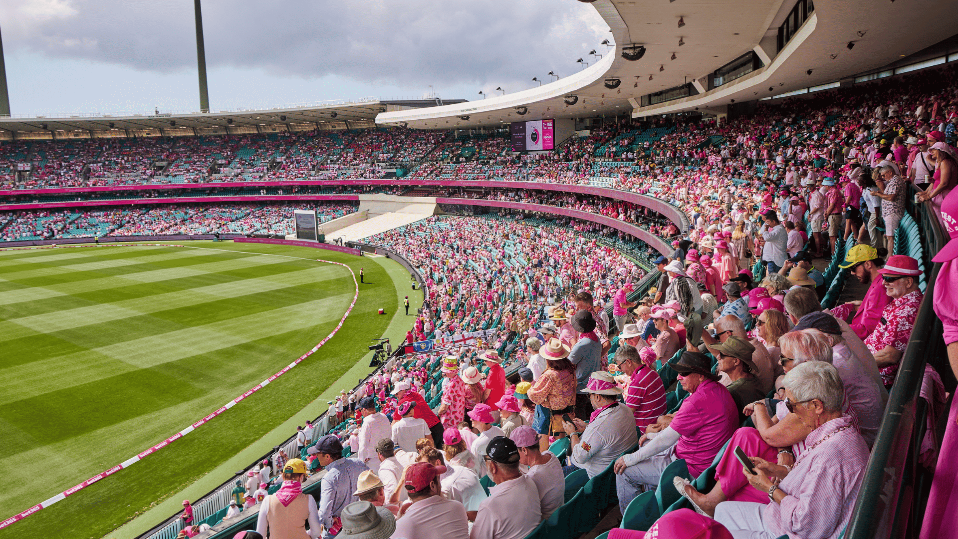 Thousands of spectators wearing pink gather at the Sydney Cricket Ground for the Pink Test, overlooking the cricket field.