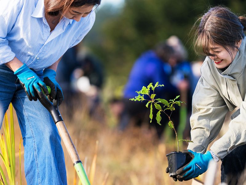 Media and communication experts gather in Ōtautahi Christchurch