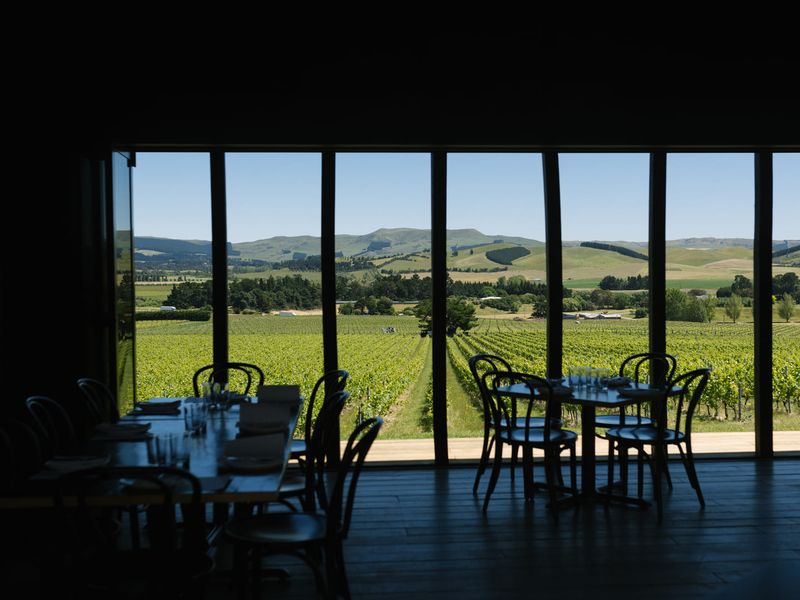 Black Estate - Waipara's star attraction