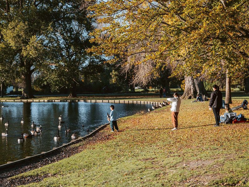 Unique autumn ideas for kids in Christchurch