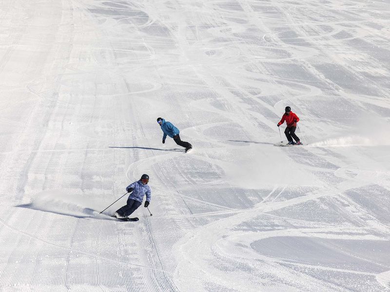 Top reasons Christchurch is the ultimate winter destination