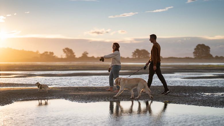 Chelsea Rapp walking the dogs on Sumner Beach