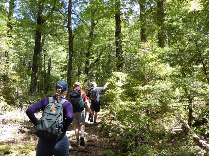 Akaroa and Banks Peninsula walks