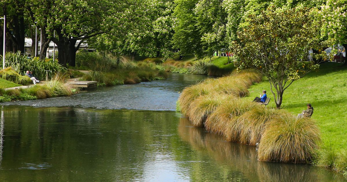 Whakatipu Ōtautahi photo