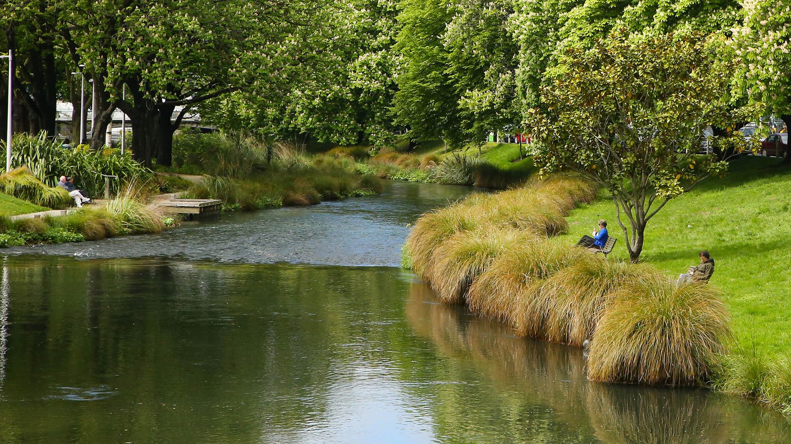 Whakatipu Ōtautahi photo
