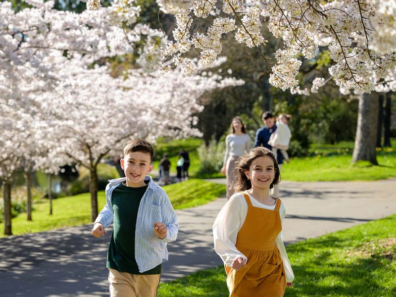 Top family activities