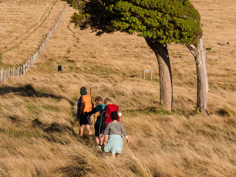 Canterbury walks with kids