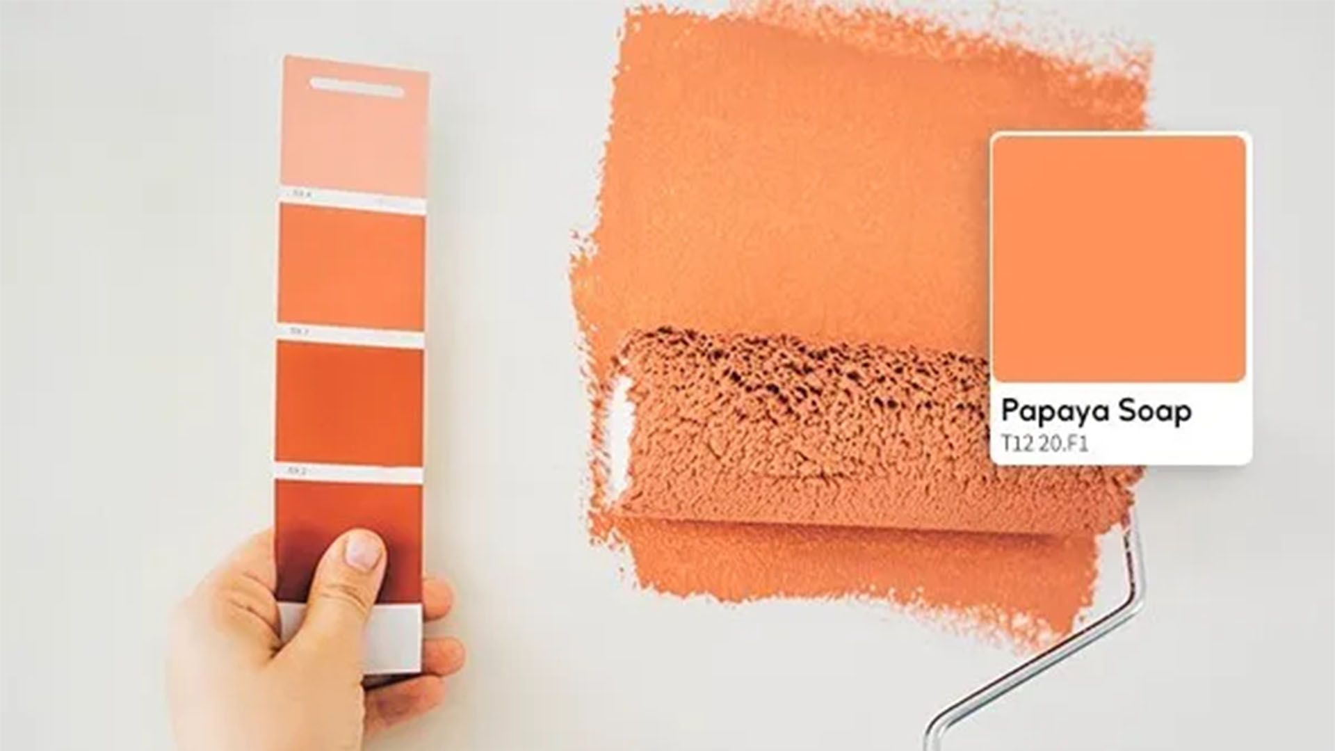 Find Your Colour Palette 