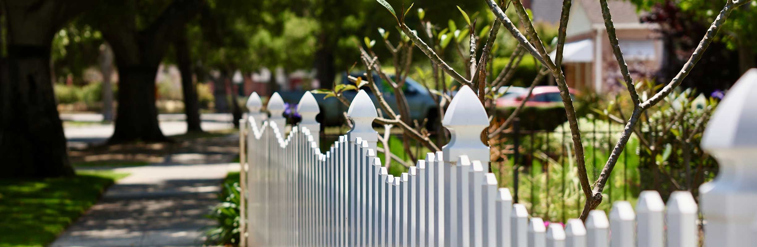 The Fence