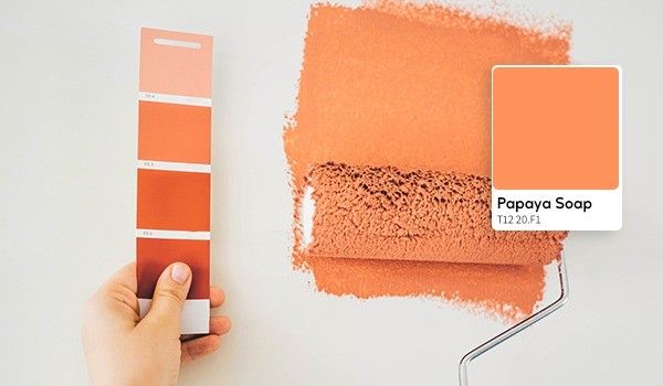 Find Your Colour Palette 