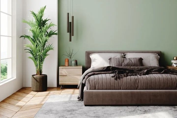 Explore Colour Palettes