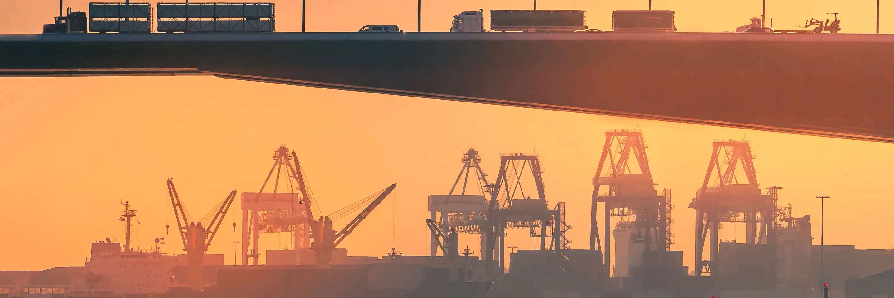 McKinnon Poll: Understanding attitudes towards employment and the labour market