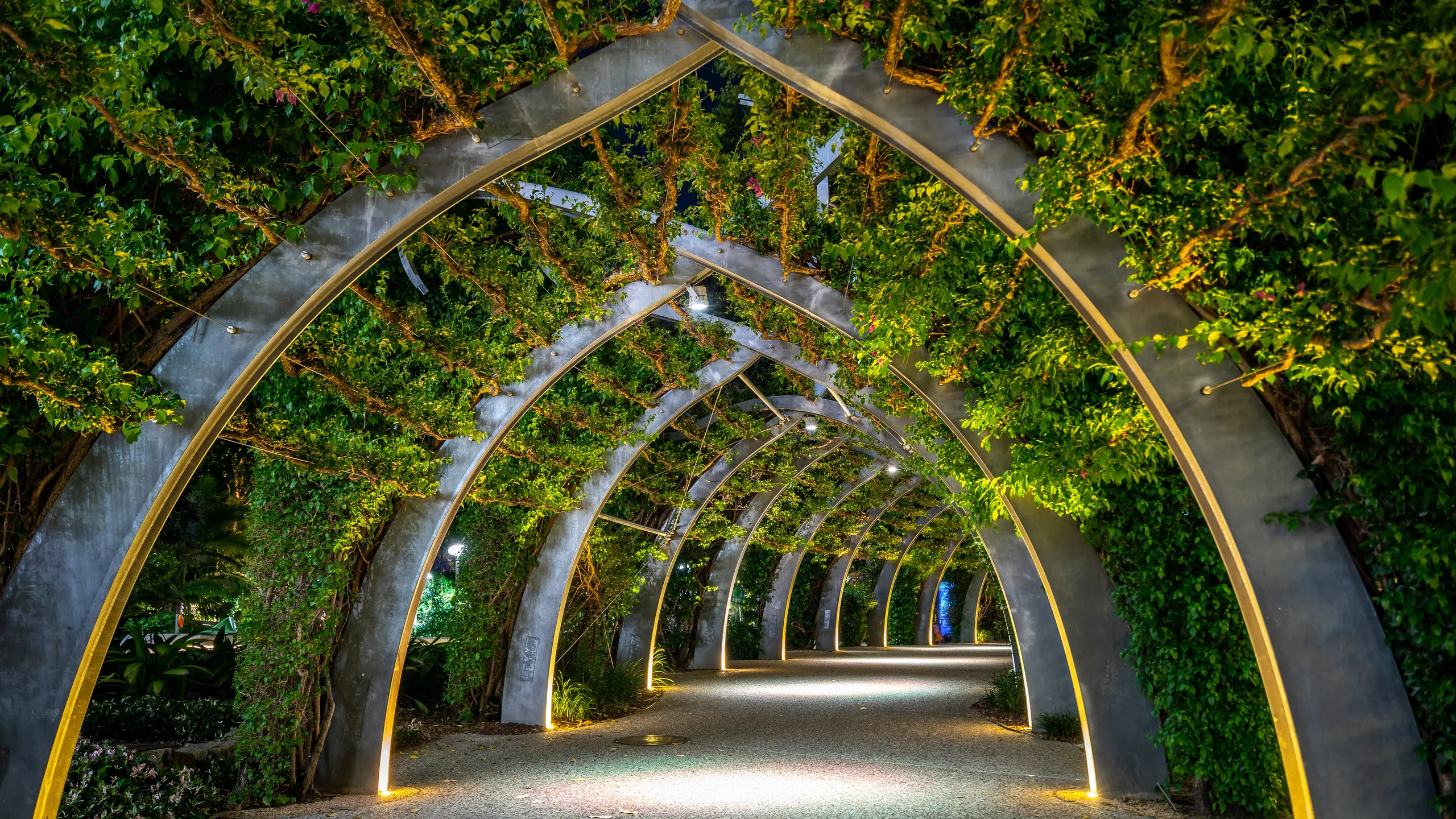 what impact will you make?